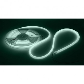 Лента светодиодная ЭРА Б0062329 LS2835-9.6-120-24-6500K-IP68-5м 24В термостойкая для бани холодный белый Лента светодиодная ЭРА Б0062329 LS2835-9.6-120-24-6500K-IP68-5м 24В термостойкая для бани холодный белый